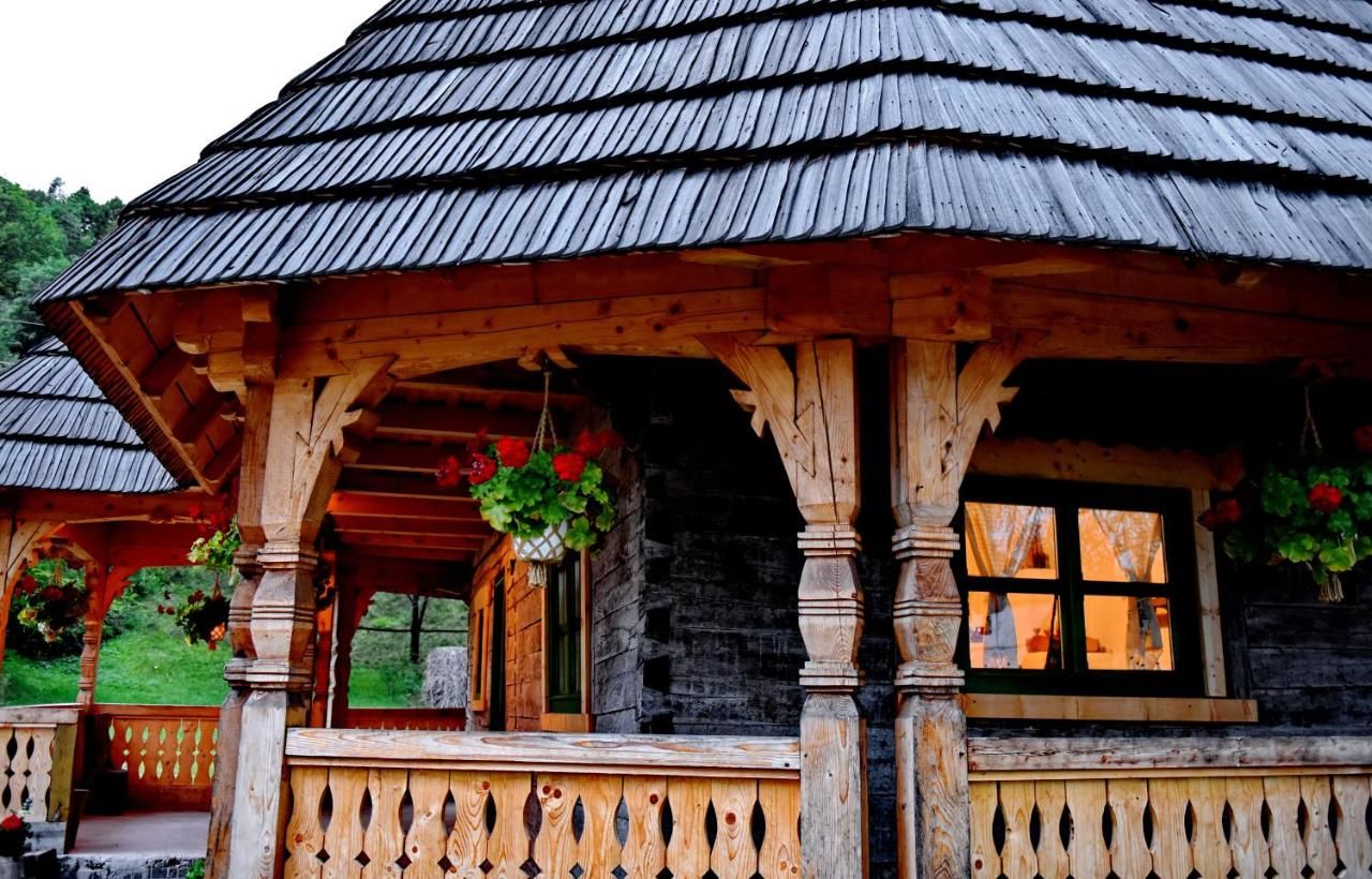 Дома для отпуска Căsuța Maramureșeană din Vadu Izei Ваду-Изей